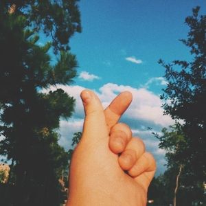 Meet your Posher, Lam